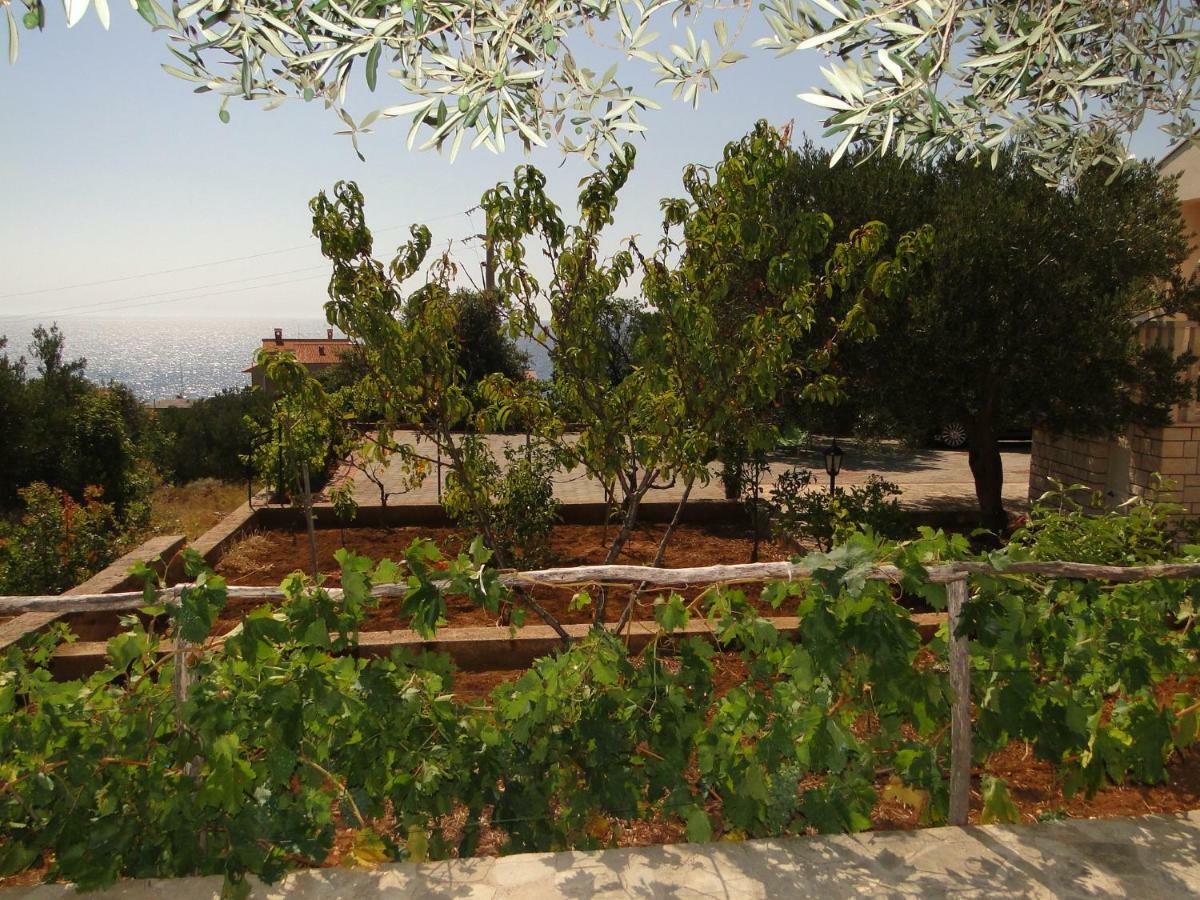 Zele Daire Dolac Dış mekan fotoğraf